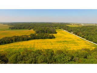 Property photo 10 - MAJOR ILLINOIS LAND AUCTION - 752.54+/- ACRES OFFERED IN 9 TRACTS IN KANKAKEE COUNTY, ILLINOIS